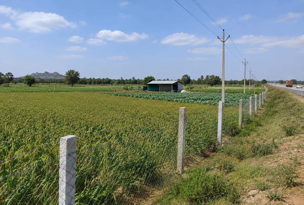 Skyline Agri Plots, Doddaballapur